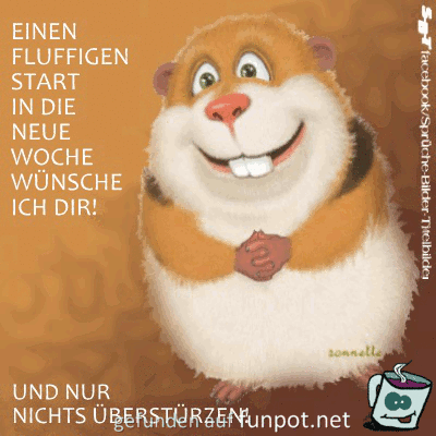 Einen Fluffigen Start Einen Fluffigen Start