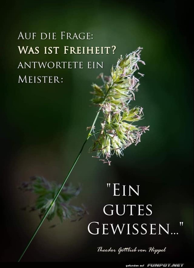 10 sch�ne Spr�che und Lebensweisheiten aus...