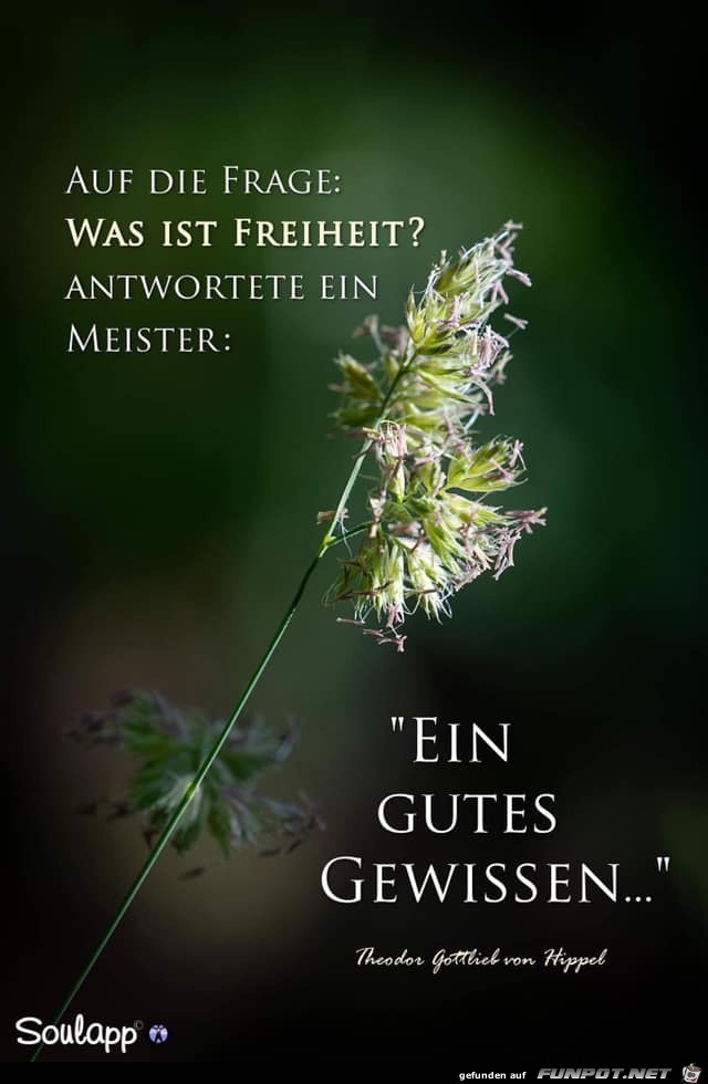 auf die Frage - was ist Freiheit auf die Frage - was ist Freiheit