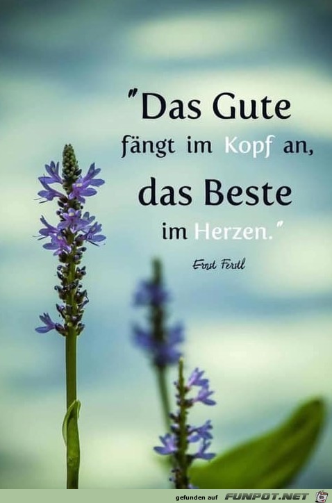 das Gute faengt im Kopf an das Gute faengt im Kopf an