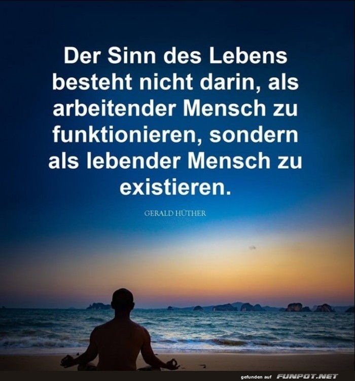 10 sch�ne Spr�che und Lebensweisheiten aus...