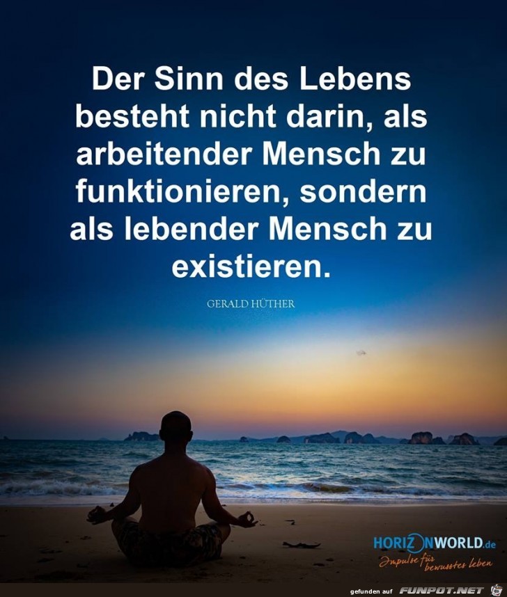 der Sinn des Lebens der Sinn des Lebens