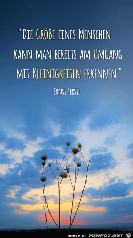 die Größe eines Menschen die Größe eines Menschen