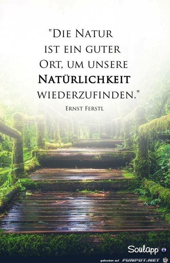 die Natur ist ein guter Ort