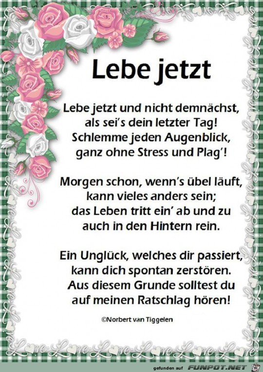 Lebe jetzt 2019 Lebe jetzt 2019