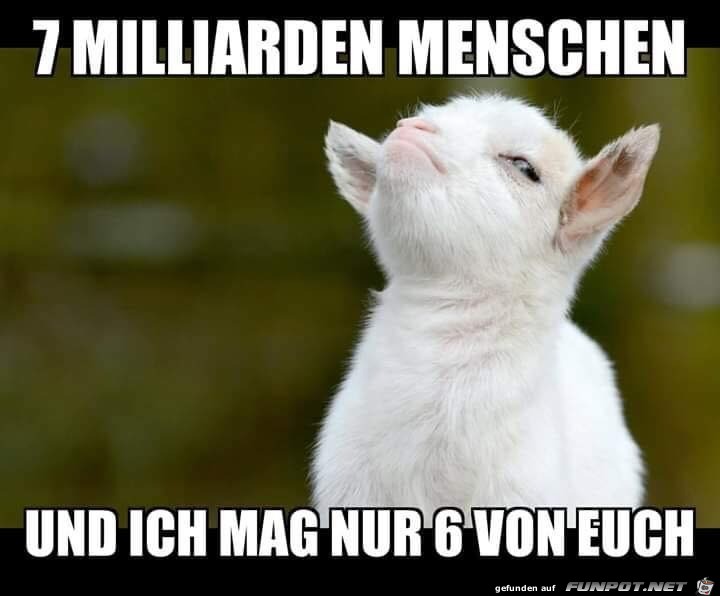 Nur 6 von euch