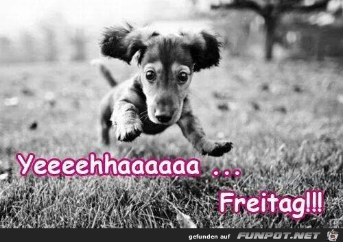 Freitag