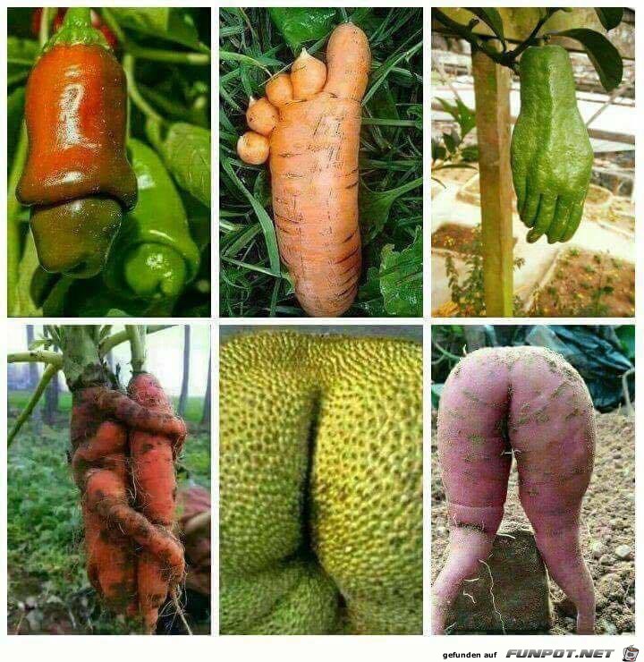 Ungewöhnliche Obst- und Gemüseformen in der Natur Ungewöhnliche Obst- und Gemüseformen in der Natur