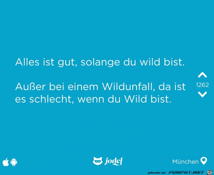 Wild Wild