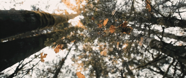 Es wird Herbst Es wird Herbst