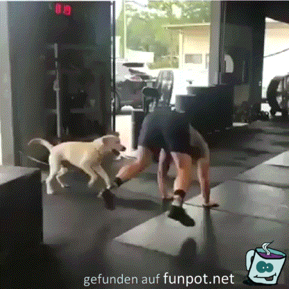 Fitneß Fitneß