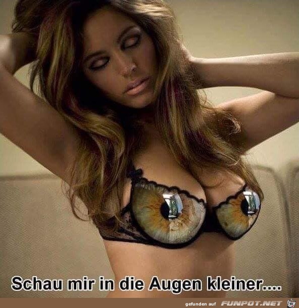 Schau mir in die Augen Schau mir in die Augen
