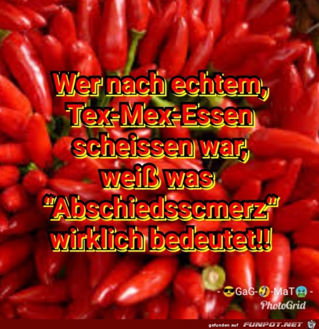 TexMex-Out of Hell TexMex-Out of Hell