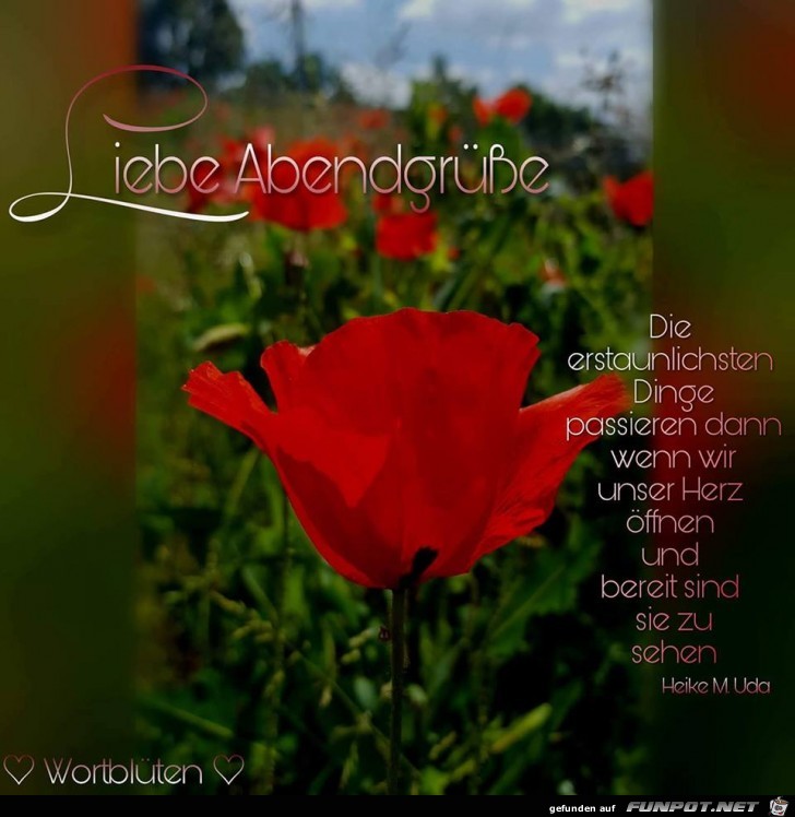 Liebe Abendgruesse Liebe Abendgruesse
