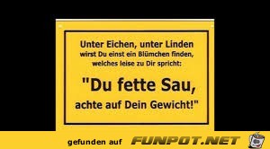 Fette Sau Fette Sau