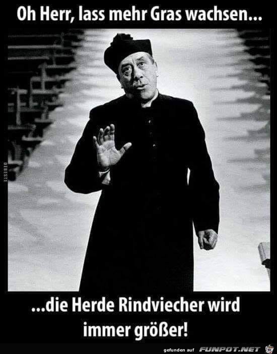 o Herr Lass mehr Gras wachsen o Herr Lass mehr Gras wachsen