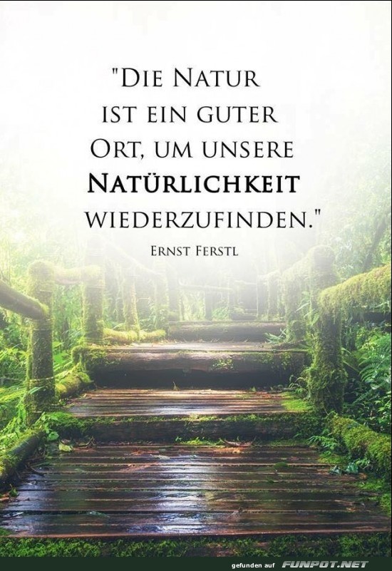 10 schöne Sprüche und Lebensweisheiten aus... 10 schöne Sprüche und Lebensweisheiten aus...