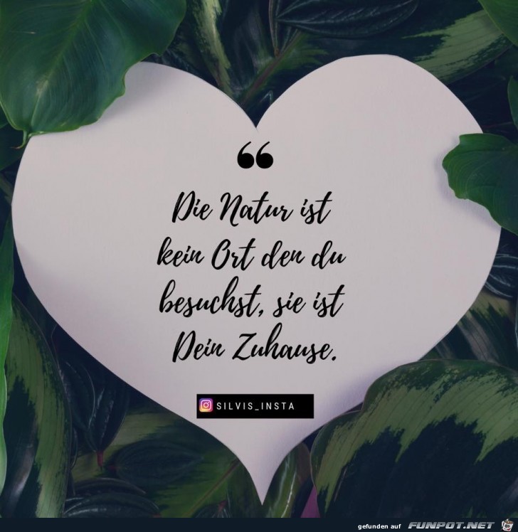 die Natur ist kein Ort die Natur ist kein Ort
