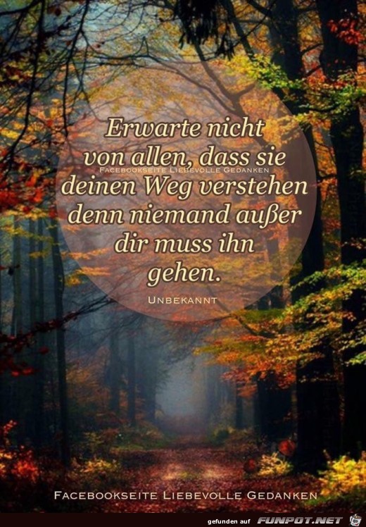 erwarte nicht erwarte nicht