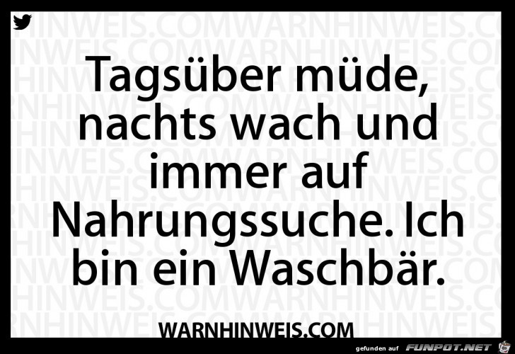 Ich bin ein Waschbär Ich bin ein Waschbär