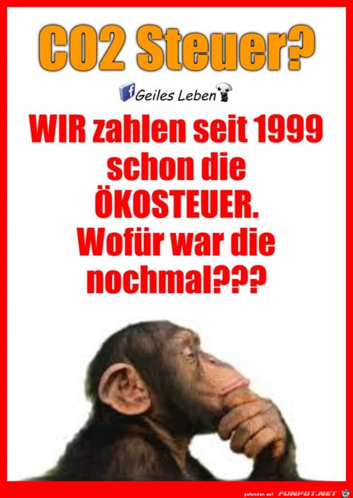 Wozu Wozu