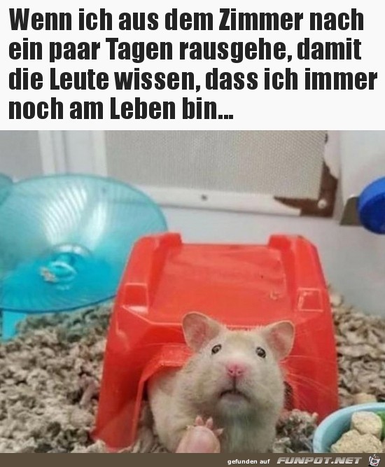 Bin noch am Leben