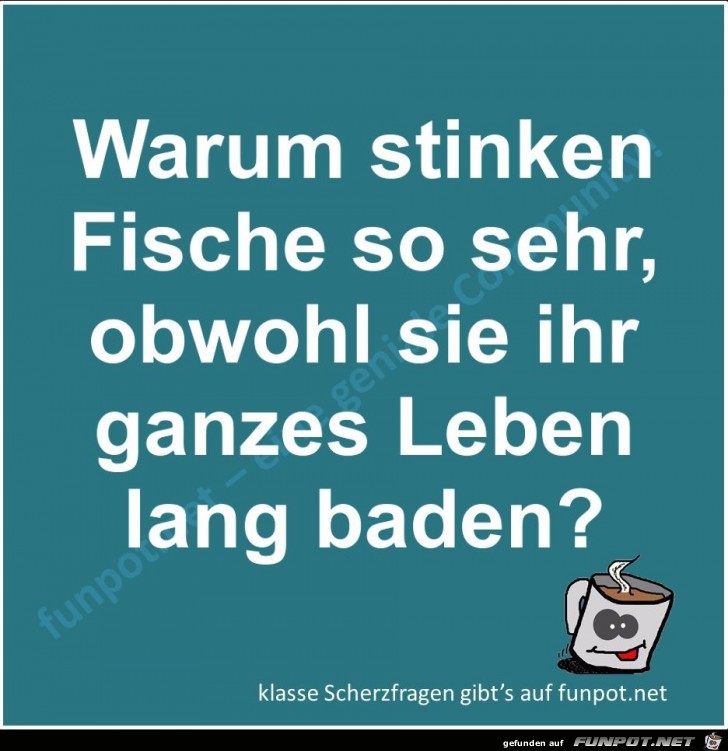 Scherzfrage Scherzfrage