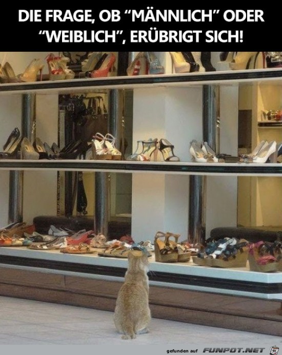 Schuheeeeeeee Schuheeeeeeee