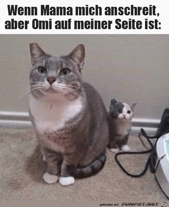 Niedlich Niedlich