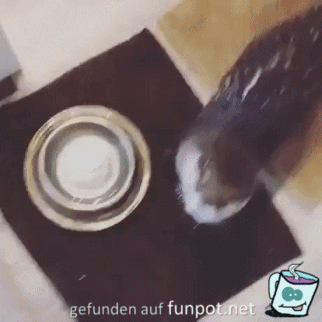 Leckerschmecker Leckerschmecker
