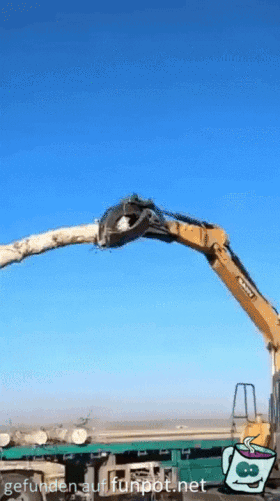 Holzbagger spielt mit Stämmen Holzbagger spielt mit Stämmen