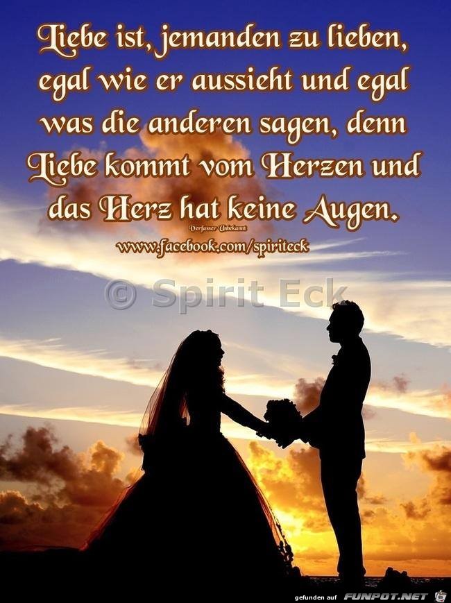 Liebe ist Liebe ist