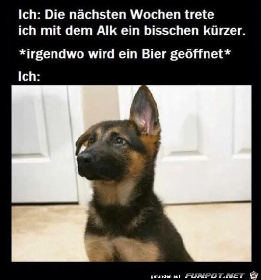 Toller Vorsatz Toller Vorsatz