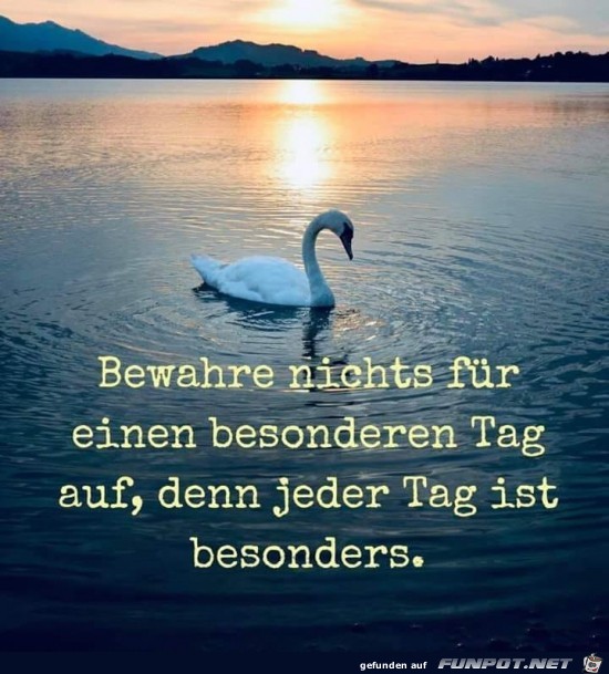 Jeder Tag ist besonders Jeder Tag ist besonders