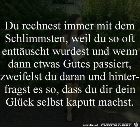 Das ist dumm Das ist dumm