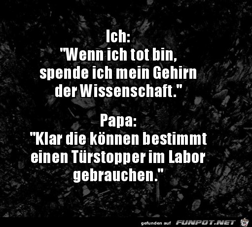 Türstopper Türstopper