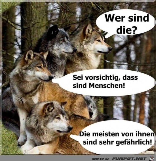 Da haben sie leider recht Da haben sie leider recht