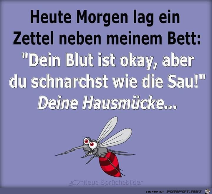 Ziemlich direkt Ziemlich direkt