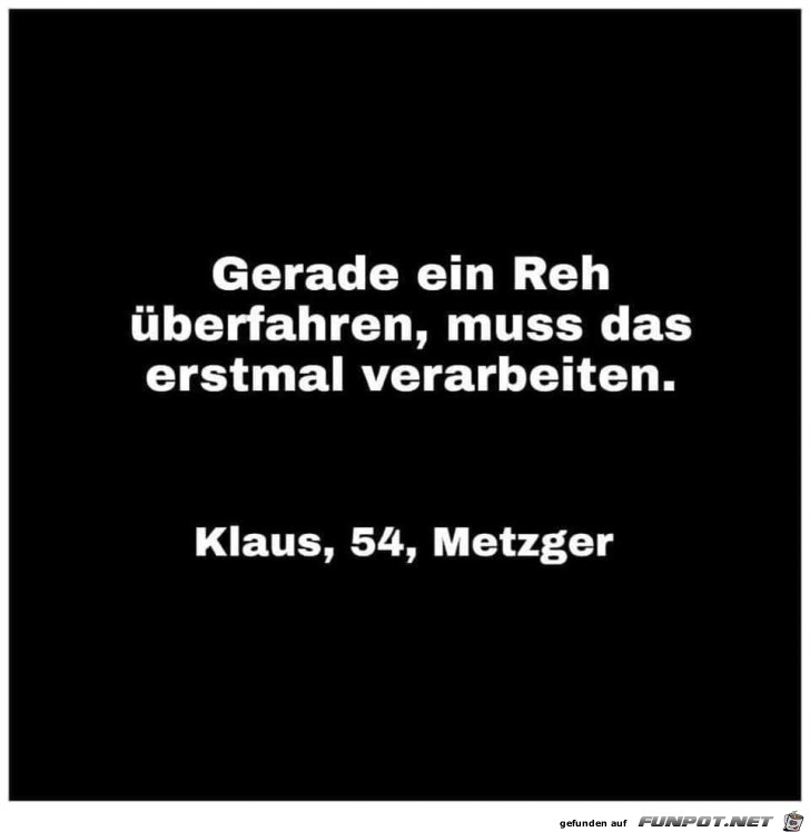 Reh überfahren Reh überfahren