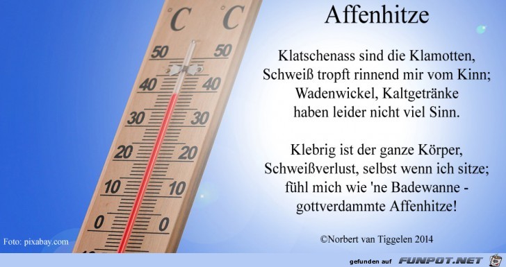 affenhitze 2019