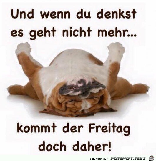 Der Freitag Der Freitag