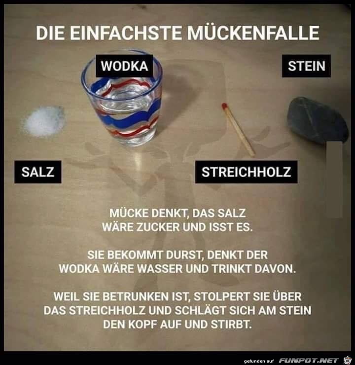 Mückenfalle Mückenfalle