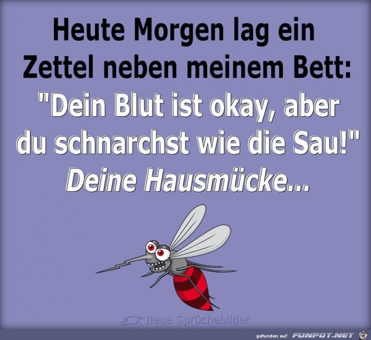 Deine Hausmuecke