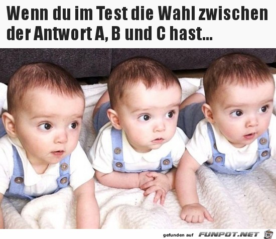 Die Wahl Die Wahl