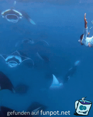 Manta-Rochen Manta-Rochen