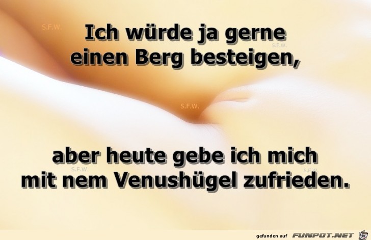 Ich wuerde ja gerne Ich wuerde ja gerne