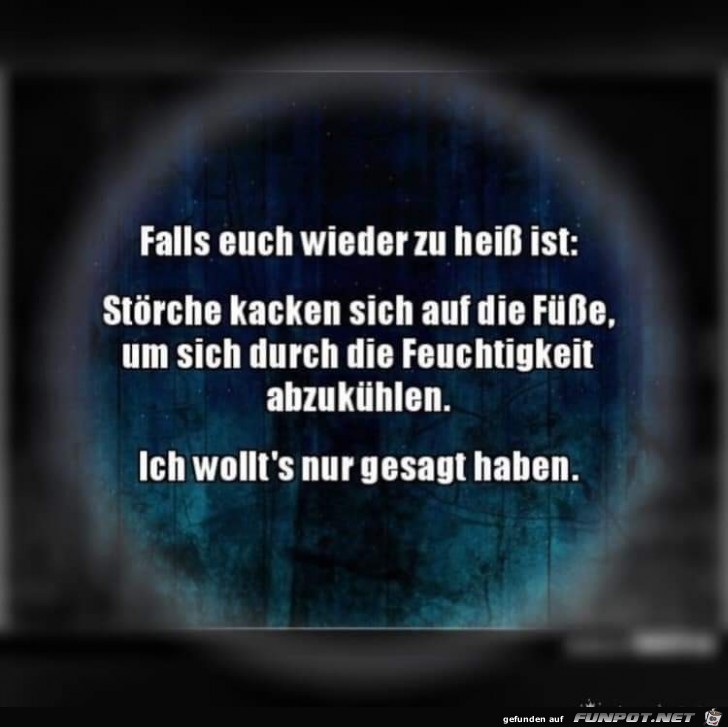 zu heiss zu heiss