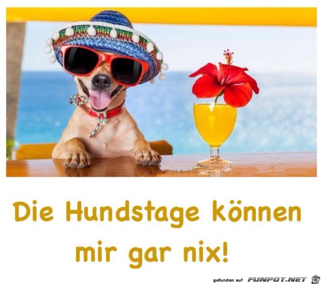 Die Hundstage