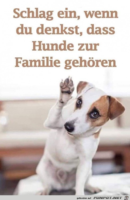 Hunde