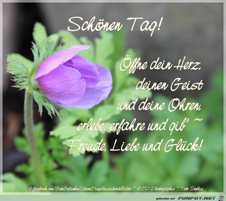 Schoenen Tag Schoenen Tag